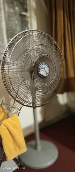 Fan