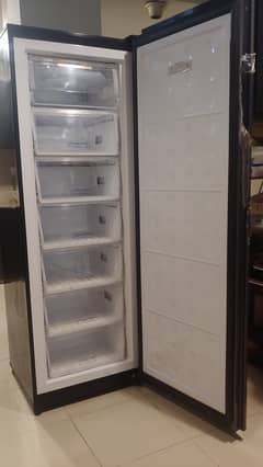 Pel Vertical Freezer