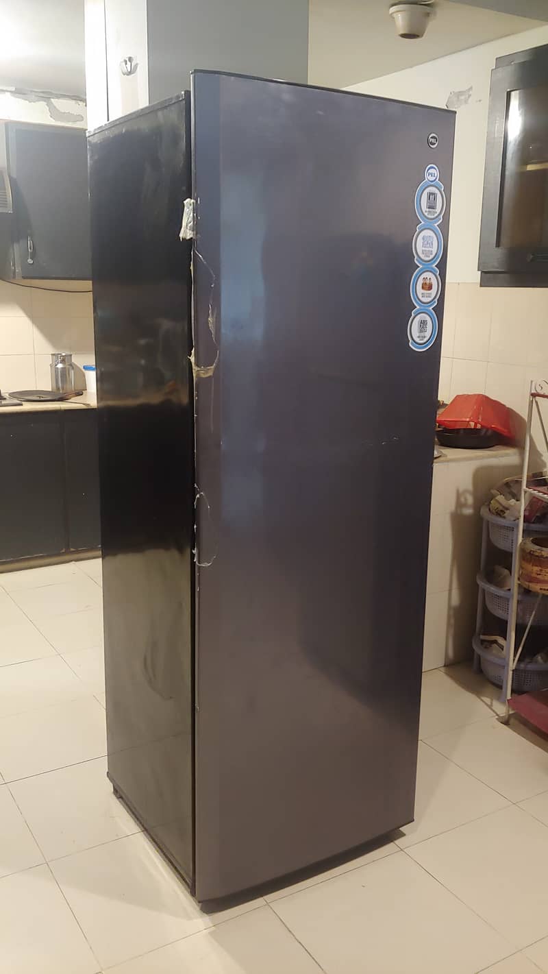 Pel Vertical Freezer 1