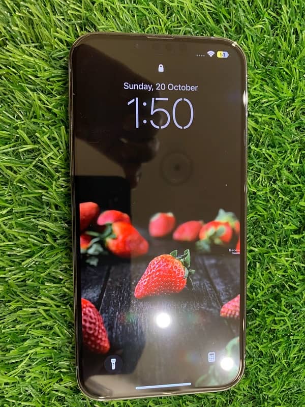 Iphone 13 pro max 256gb pta approved 6