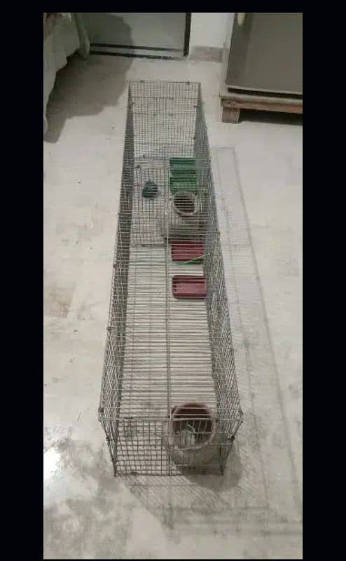 parrots cage 2 portion 1