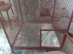 Heavy guage 2ft bi 2ft big size cage