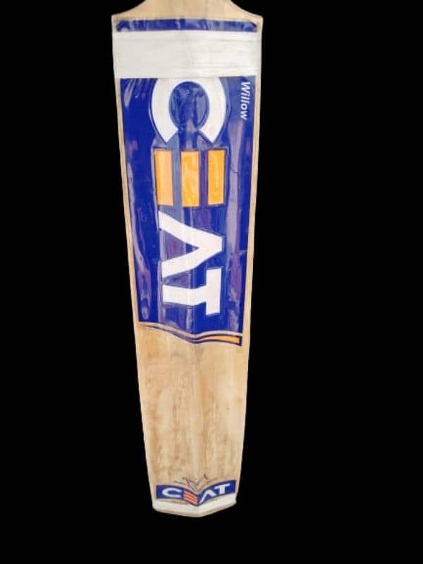 Hard ball Bat 1