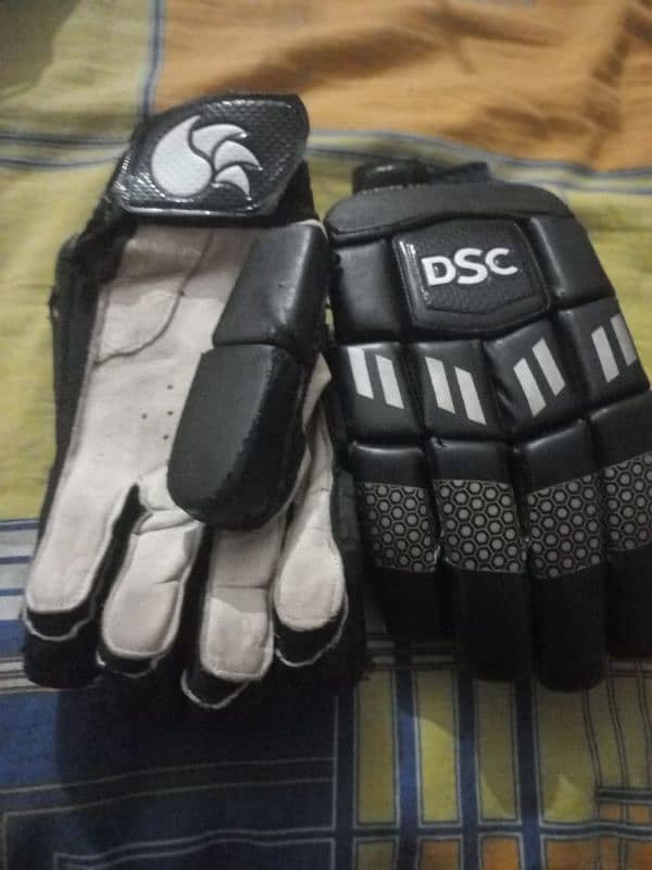 cricket gloves 1