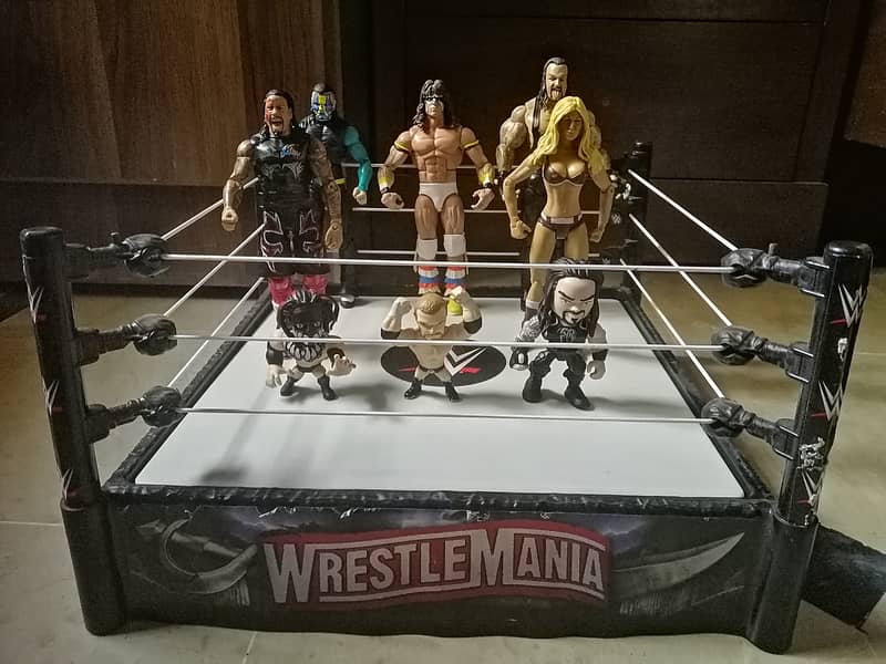 WWE Elite Class 6' to 7' Wrestlers Fully Articulated Action Figure Toy 1