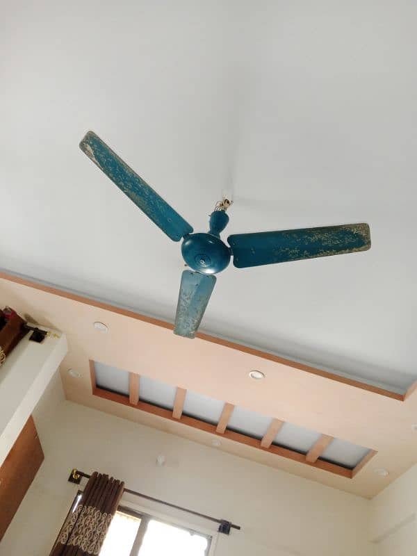 Ceiling Fan for Sale 2