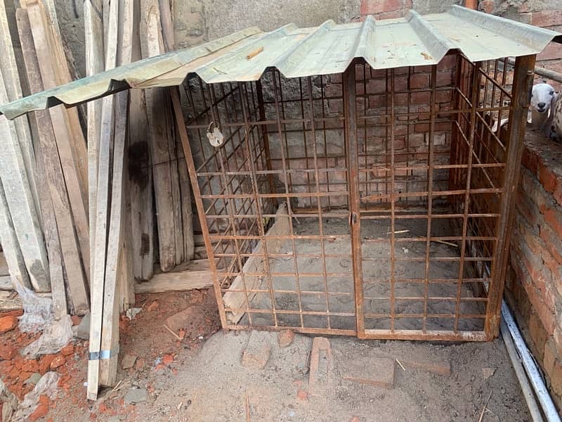 cage for dogs 4