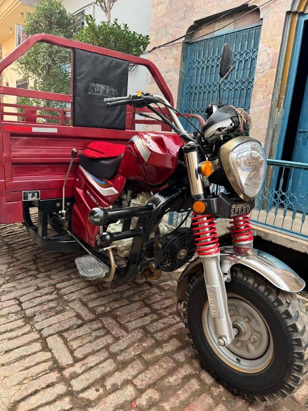 hi speed 150cc rickshaw 13