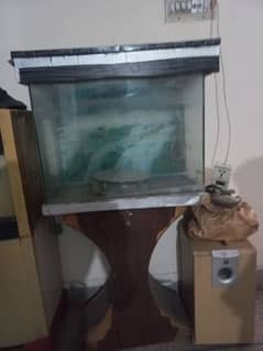 Fish Aquarium