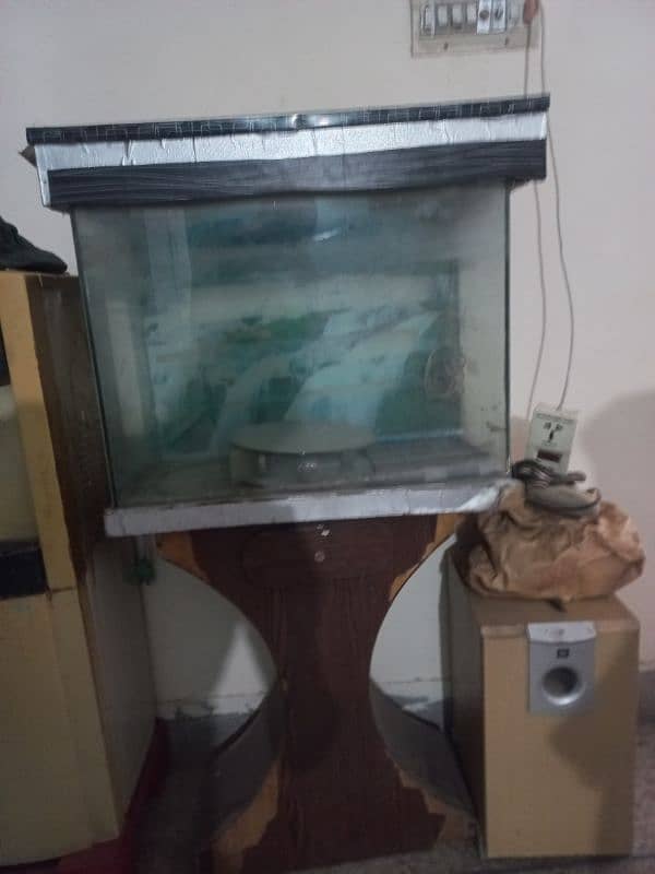 Fish Aquarium 0