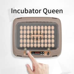 50 Egg Incubator Queen