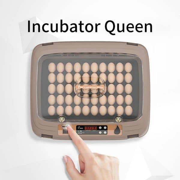 50 Egg Incubator Queen 0