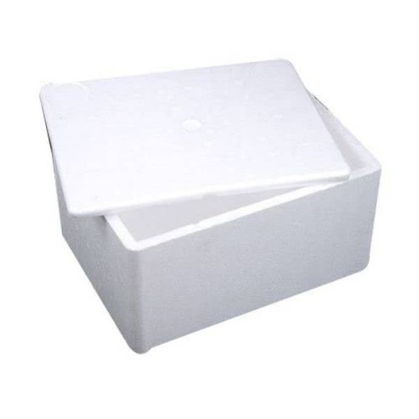 Dry Ice and thermapol boxes 4