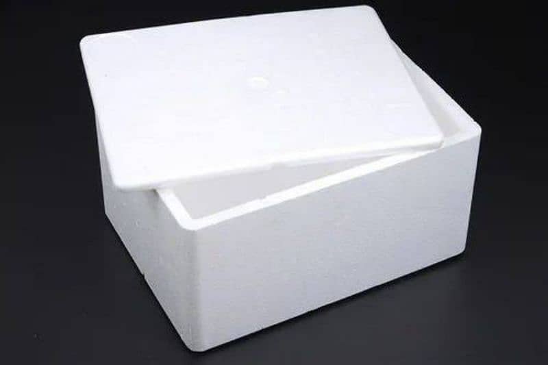 Dry Ice and thermapol boxes 5