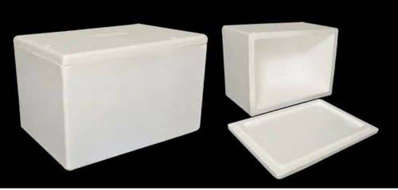 Dry Ice and thermapol boxes 6