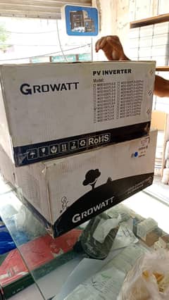 Growatt