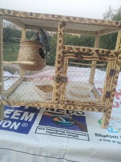 breeder pair with cage for sale munasab lgao aur le jao