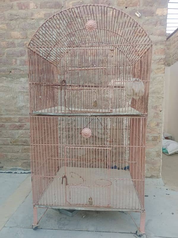 bird cage 0