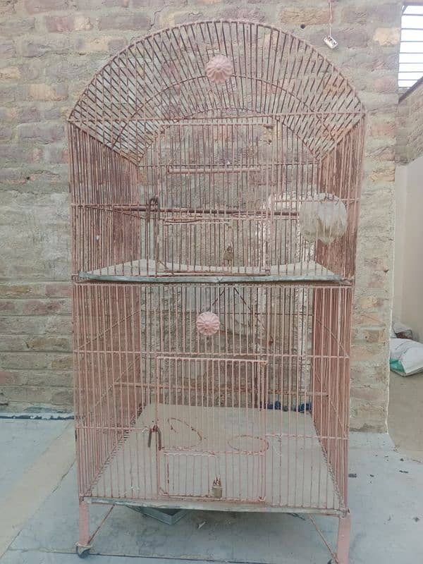 bird cage 1