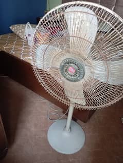 Rado Pedestal Stand Fan Full Size 26 Inch & Copper Ceiling Fan