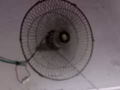 3 impure fan Hy best speed hy