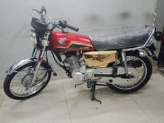 Honda 125 2024 gold special edition