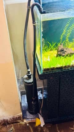 Planted aquarium gor sell