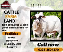 FARMHOUSE & CATTLE FARM LAND