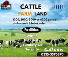 CATTLE FARM LAND