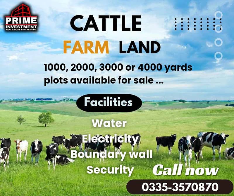 CATTLE FARM LAND 0