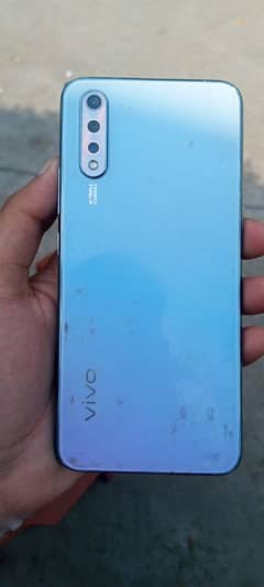 vivo