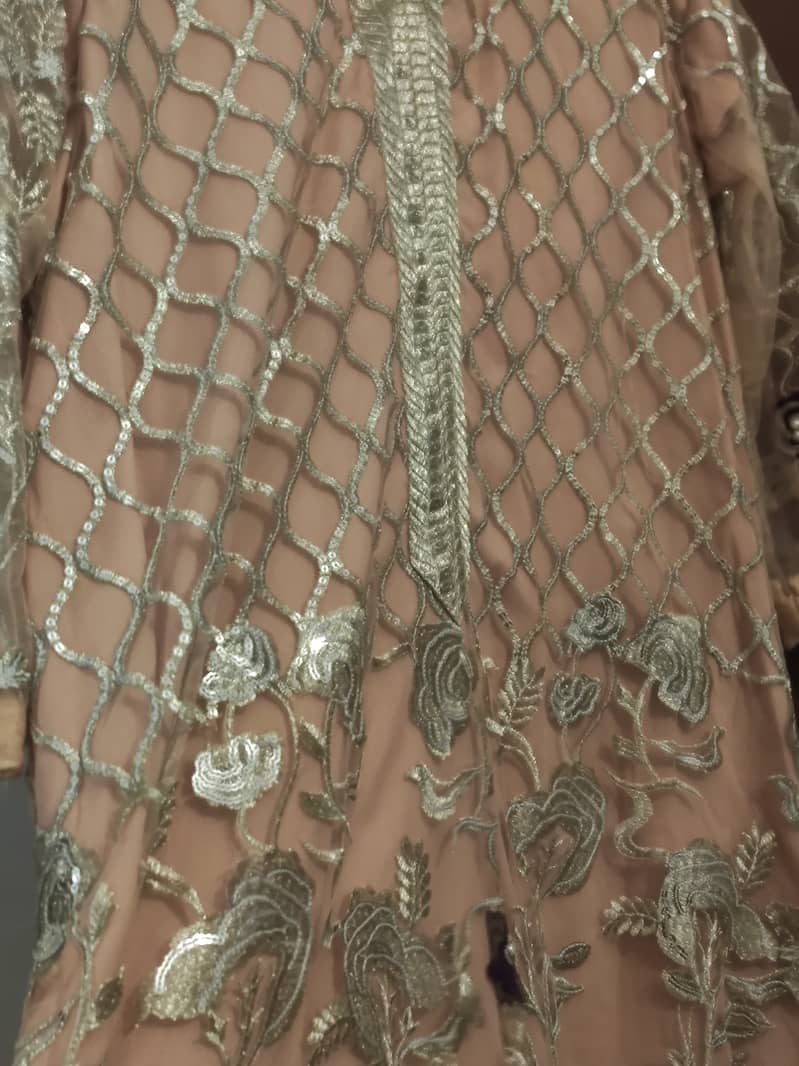 Net embroidered with full embellished outfit 11