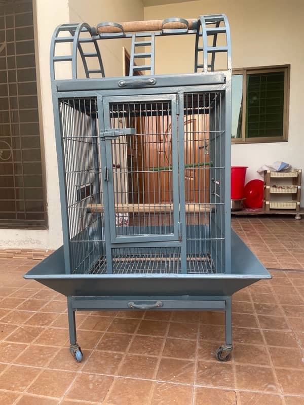 Parrot Cage 1