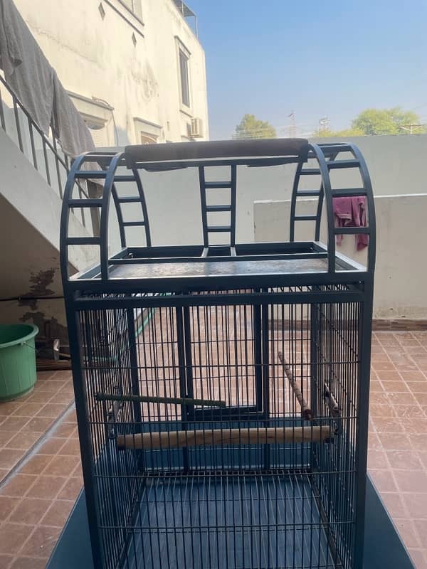 Parrot Cage 3