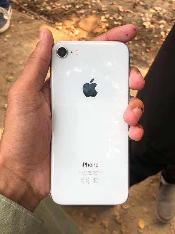 iPhone 8 pta 64 gb 2