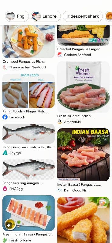 40 prsant low price ma pangasius finger fish zinda 3