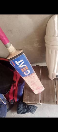 cricket bat