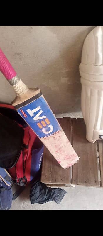 cricket bat 0