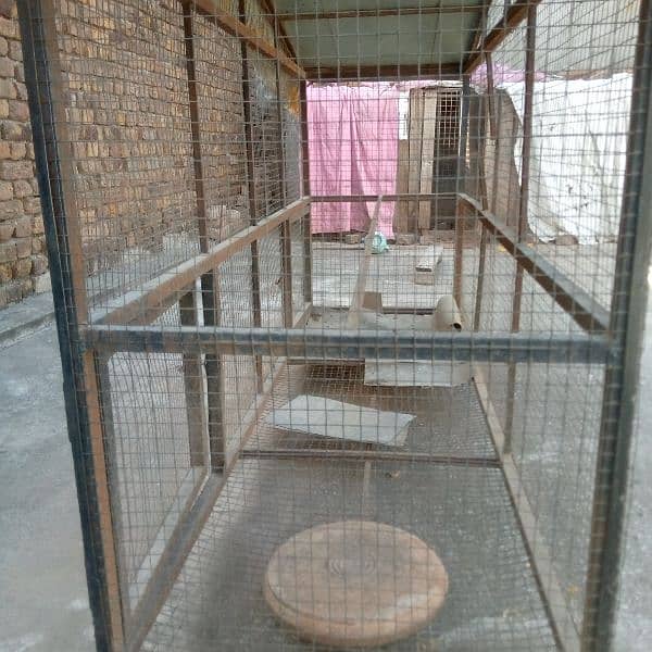 pet and hen cage 1