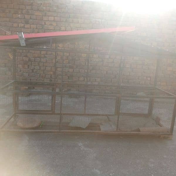 pet and hen cage 4