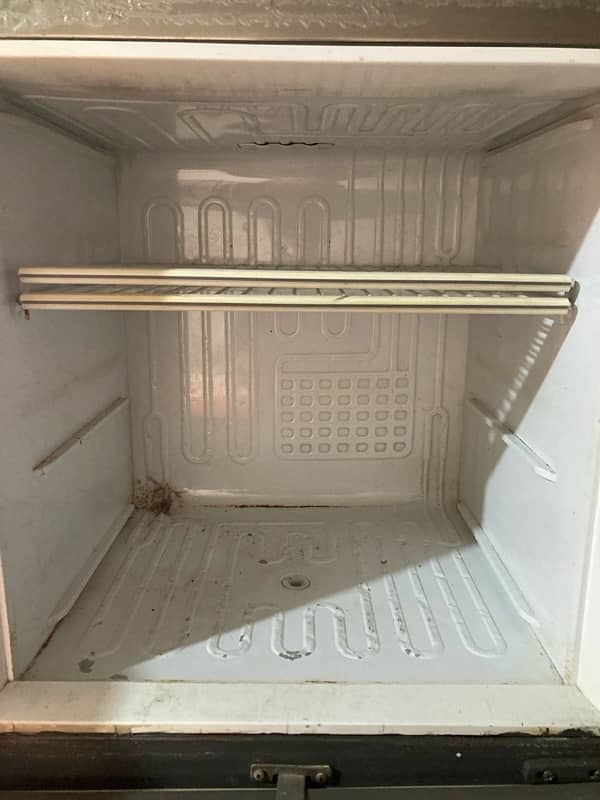 pel Company Freezer 2