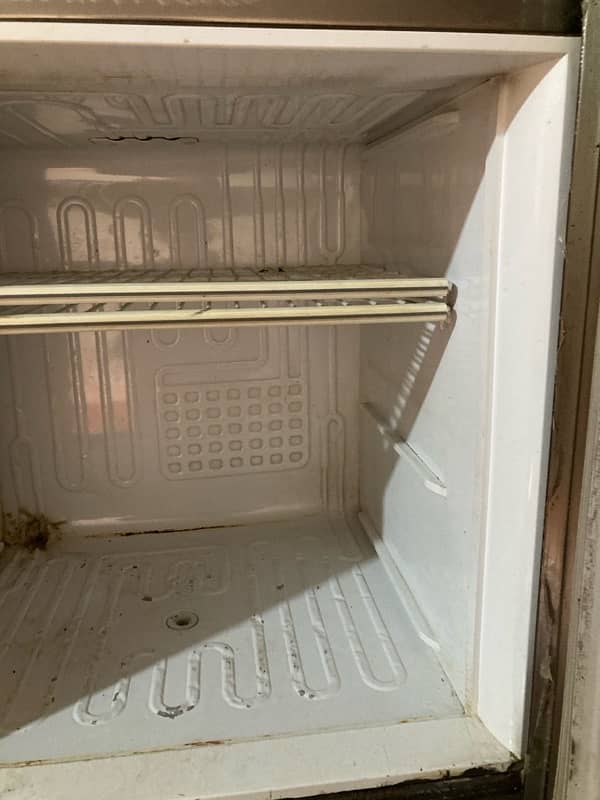 pel Company Freezer 4