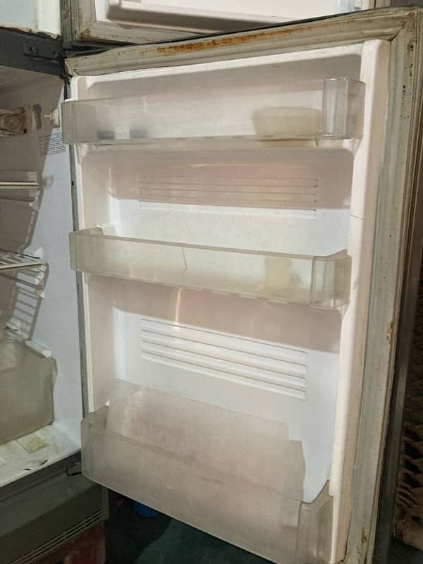 pel Company Freezer 8