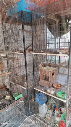 Birds Cages 3 Portions