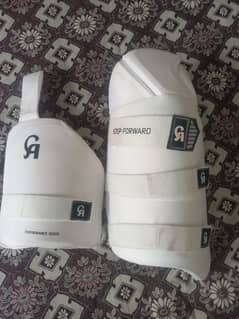 cricket pads and thigh pads and helmet