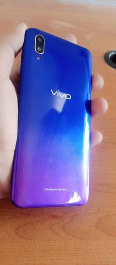 Vivo