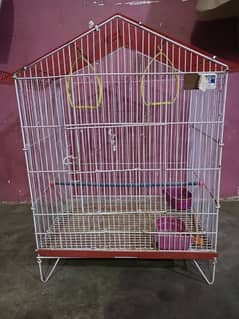 cage new type