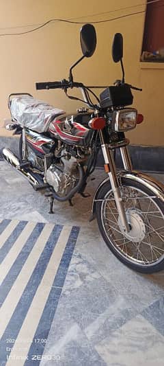 Honda 125 2024