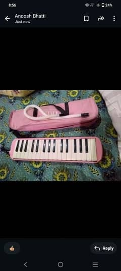 iron body melodica