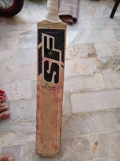 English willow hard ball bat